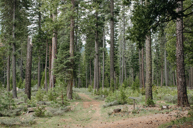 Image 2 for Campsite V Camp
