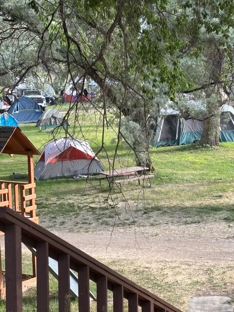 Image 2 for Tent Site