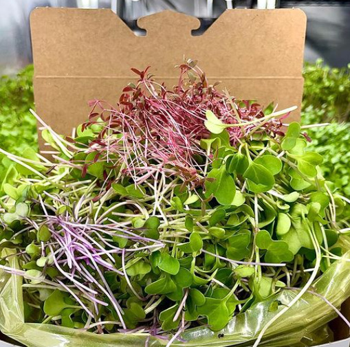 Image 16 for Farm-Stay Cabin with Ramp, Partially Accessible