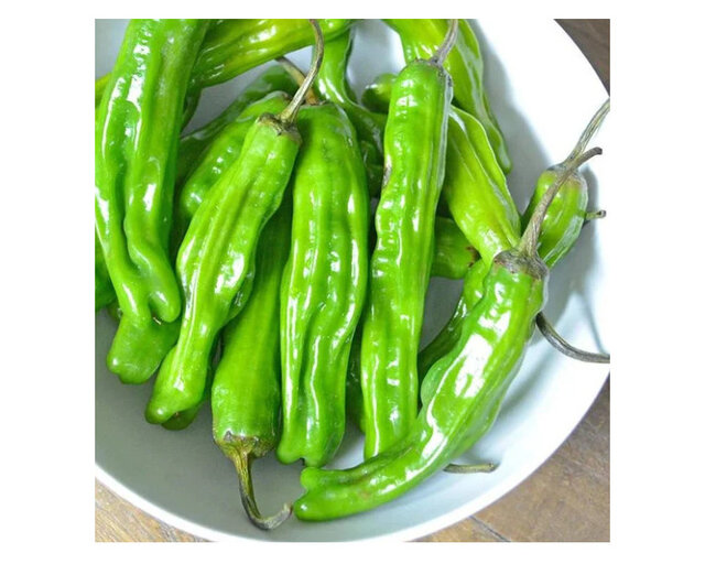 Image 20 for Farm-Stay Cabin with Ramp, Partially Accessible