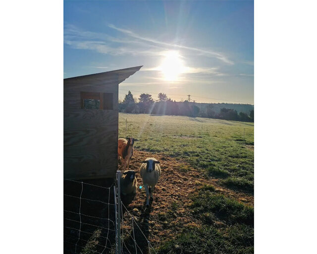 Image 9 for TerraStay Farm Cabin 3: in Saxapahaw, 1/2 mi walk!