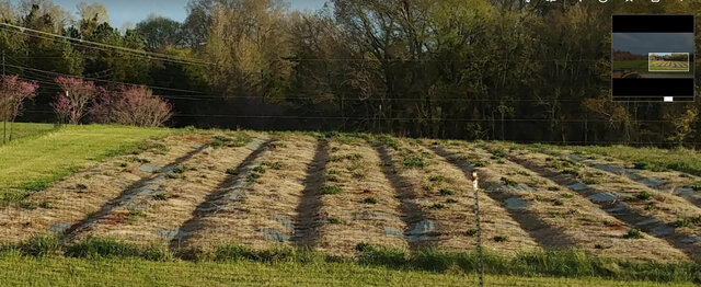 Image 19 for TerraStay Farm Cabin 1: in Saxapahaw, 1/2 mi walk!