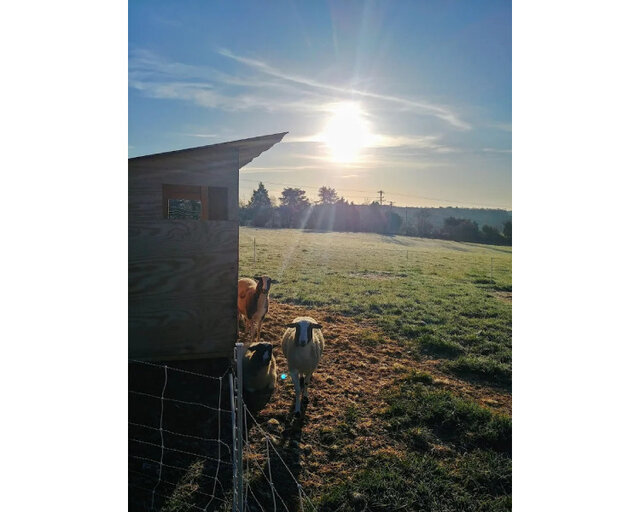 Image 8 for TerraStay Farm Cabin 1: in Saxapahaw, 1/2 mi walk!