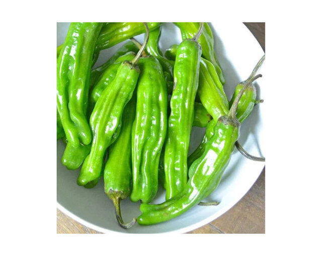 Image 24 for TerraStay Farm Cabin 1: in Saxapahaw, 1/2 mi walk!