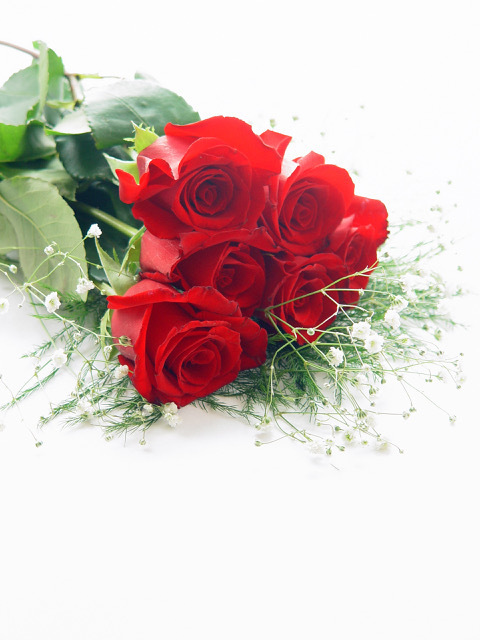 Image 1 for Half Dozen Roses with vase