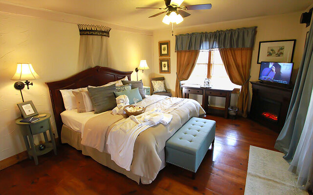 Image 1 for The MOON EYE