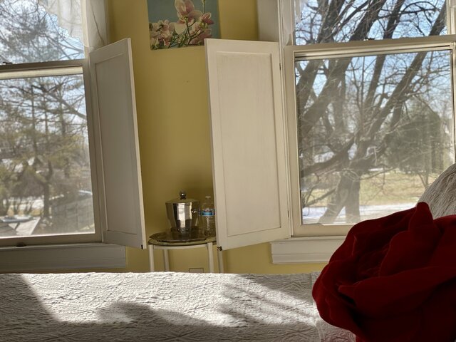 Image 4 for The Garden Room