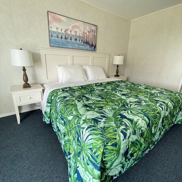 Image 1 for King Bed- Pet Friendly Downstairs