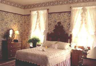 Image 1 for 02 Cabbage Rose