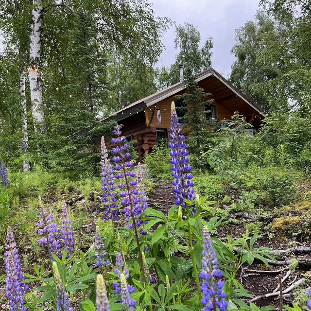 Image 1 for Large Group Summer Cabin