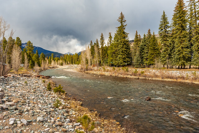 Image 4 for River Song Vacation Home