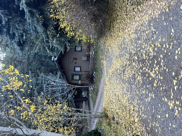 Image 9 for Koala Bear Cabin
