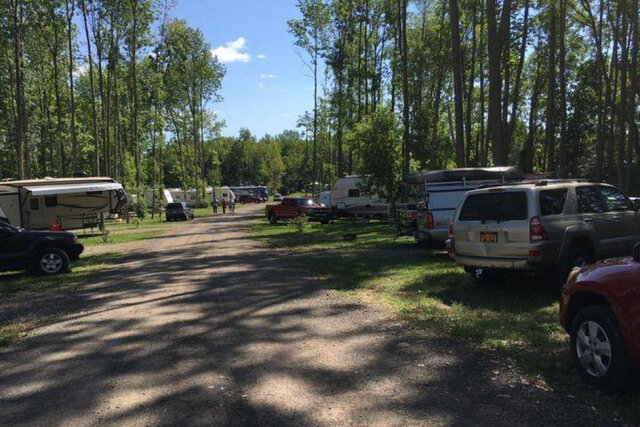 Image 2 for BUDDY Sites