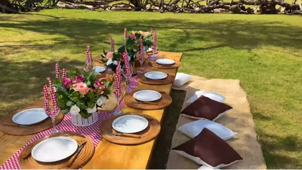 Imagen de Picnic con Jirafa