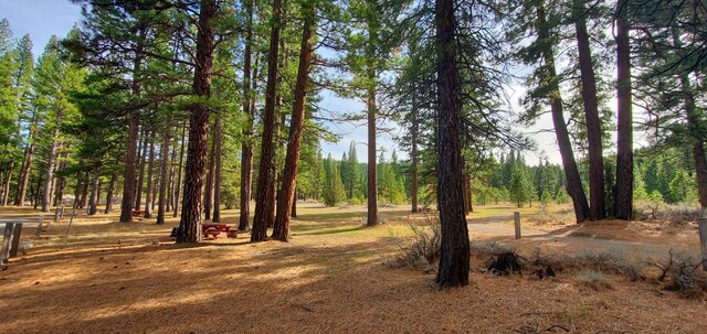 Image 2 for Camping Pass (1 ADULT PER PASS)