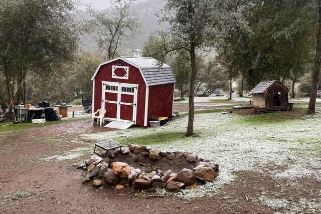 Image 4 for The Cozy Tiny Cabin Shabin