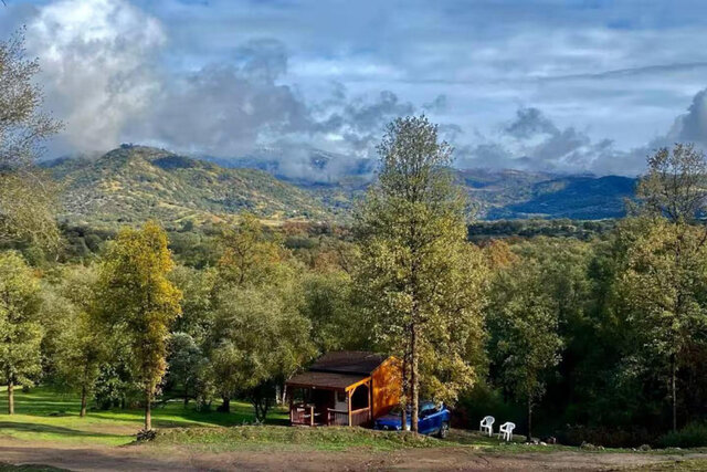 Image 7 for The Cozy Tiny Cabin Shabin