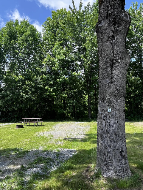 Image 4 for Site 26 -  Full Hookup 50 Amp