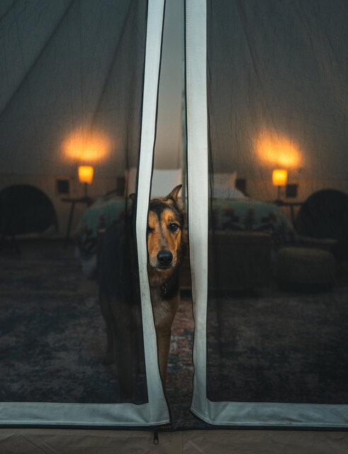 Image 8 for 03 Double Bell Tent