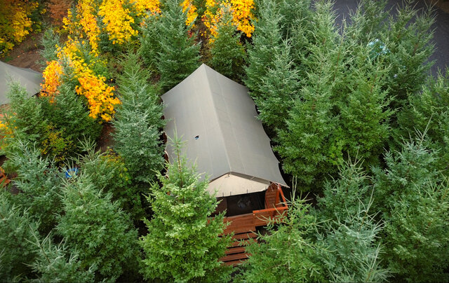 Image 13 for #08 Lupine Safari Tent