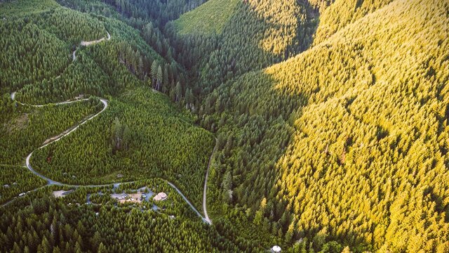 Image 16 for #08 Lupine Safari Tent