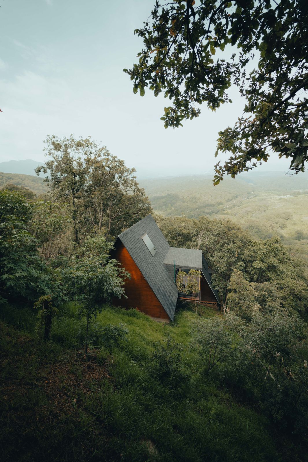 Imagen de Bienvenida Primavera 20% OFF | Lunes a Jueves