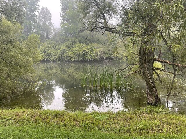 Image 2 for 099-101 RV Site