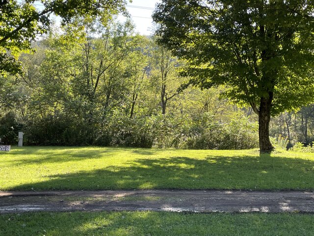 Image 1 for 206 RV Site