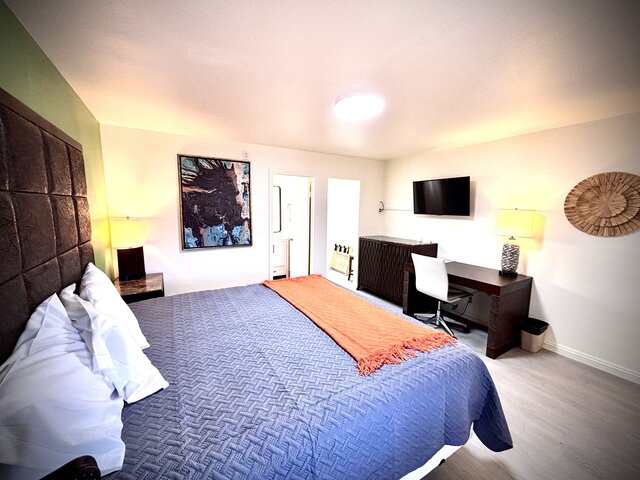 Image 1 for Deluxe King Rooms (Nonsmoking)