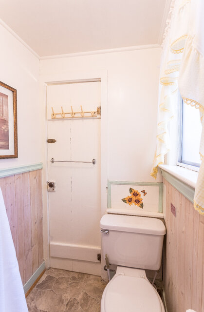 Image 8 for SUNFLOWER #7