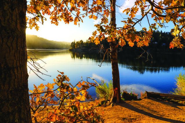 Image 1 for 3rd Night 1/2 off Golden Days of Fall