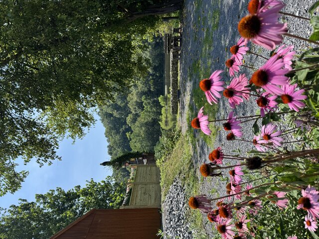 Image 1 for Riverfront Camping #4