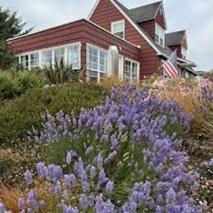 Image 4 for Redwoods Room