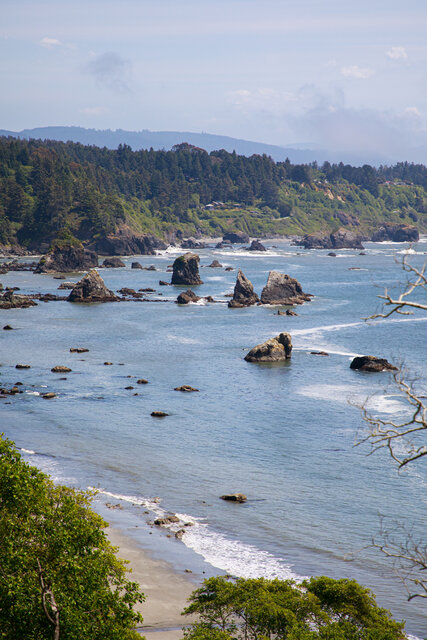 Image 9 for Redwoods Room