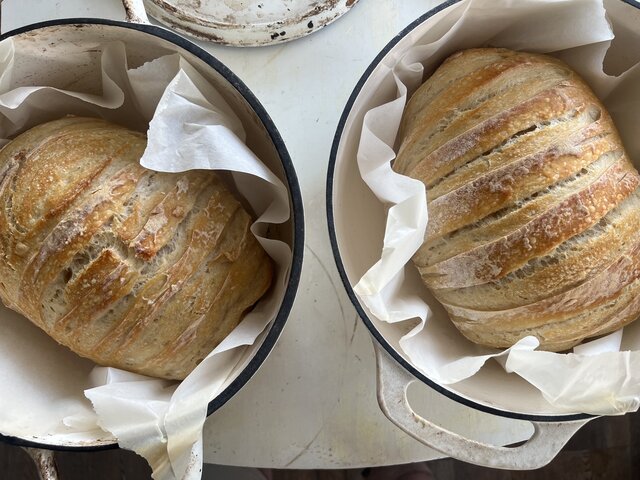 Image 6 for Redwoods Room