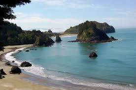 Image 7 for TidePool Room