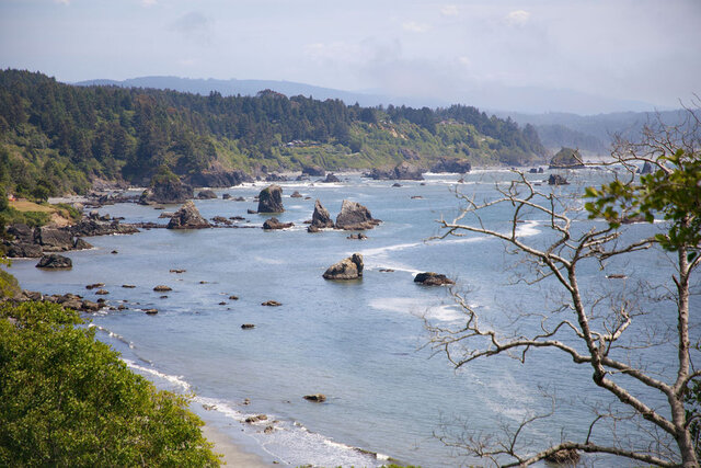 Image 19 for CrabPot Room