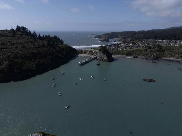 Image 15 for CrabPot Room