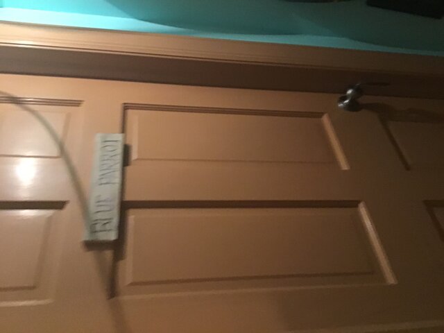 Image 1 for Blue Parrot