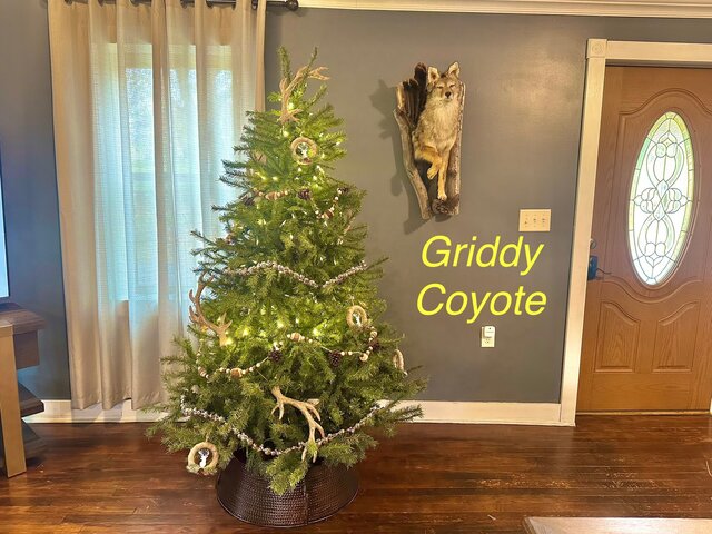 Image 1 for Griddy Coyote