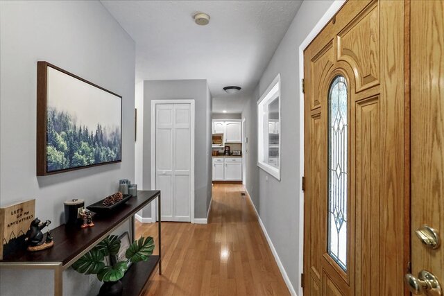 Image 19 for Deep Forest Dream