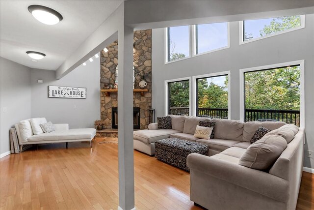 Image 7 for Deep Forest Dream