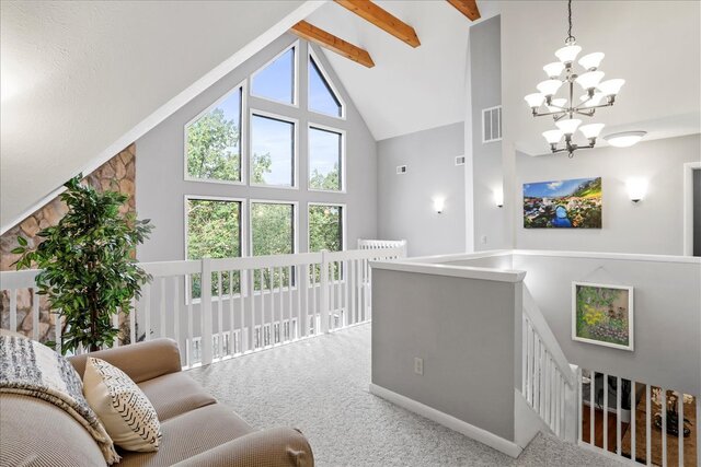 Image 18 for Deep Forest Dream