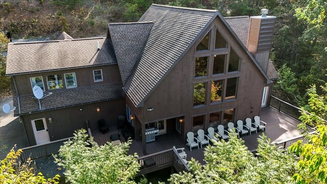 Image 2 for Deep Forest Dream