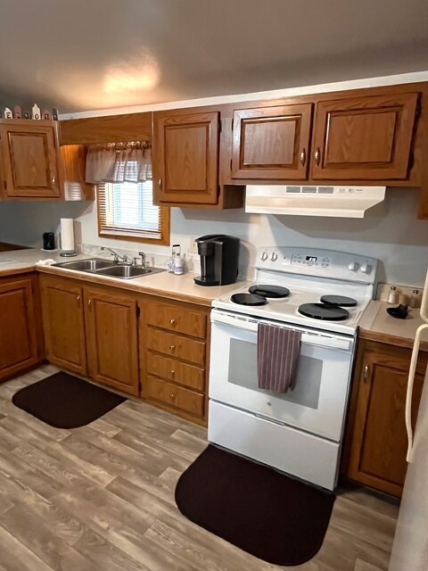 Image 3 for Whispering Acorn