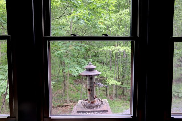 Image 25 for Wildwood Chalet