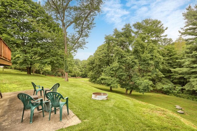 Image 4 for Raydream