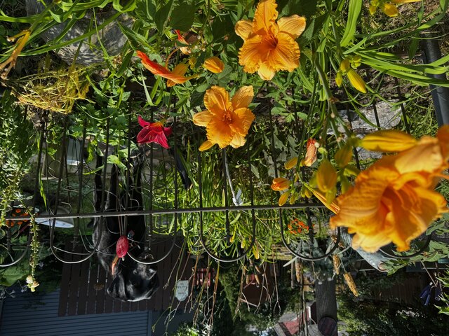 Image 18 for William Whole House Rental