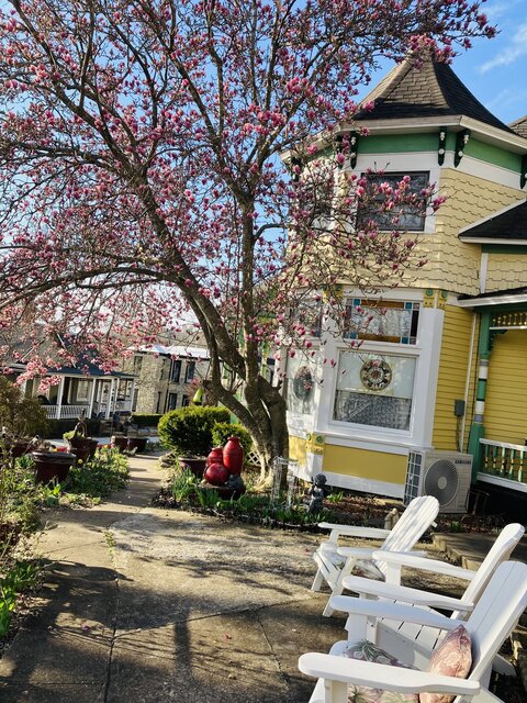 Image 1 for Gazebo Suite (Daffodil Cottage)