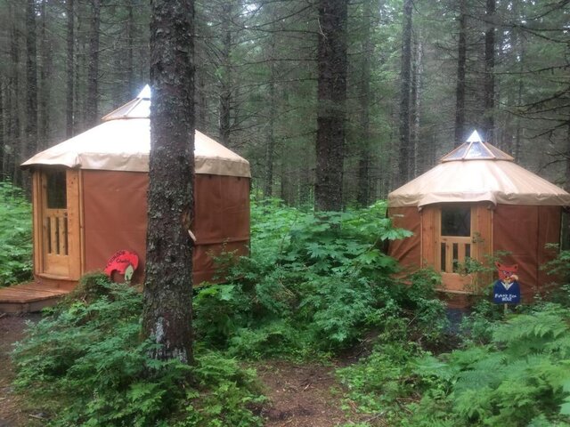 Image 2 for Yurt Grizzly Grotto